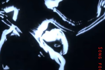 The Wooden Wolf Song for Joa