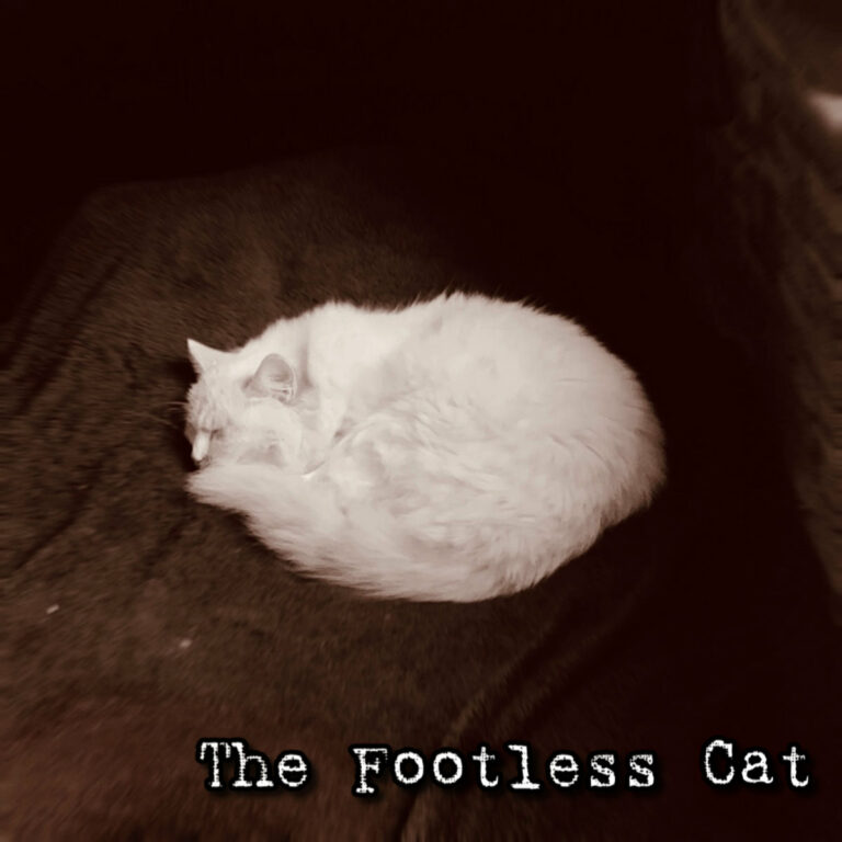 THE FOOTLESS CAT