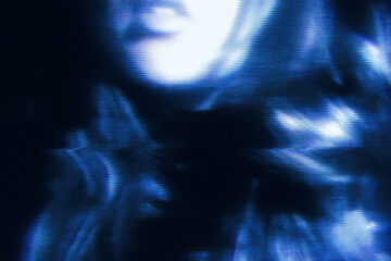 Lily Archives static