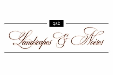 qsb Landscapes & Noises